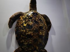 -游龙石文化科普馆