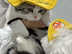 -瑞虹新天地月亮湾