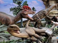 -国家自然博物馆