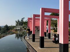 -漳州滨海火山岛自然生态风景区