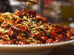 辣子鸡-猫头婴小酒馆FUN OWL(1912店)