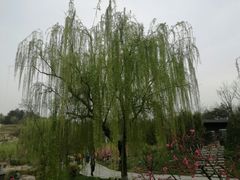 -鹦鹉寺公园