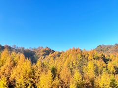 -光雾山旅游景区