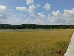 -塞罕坝国家级自然保护区