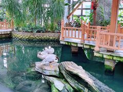 -南宫五洲植物乐园