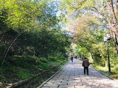 -高尔山公园