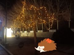 -党河风情线国家水利风景区