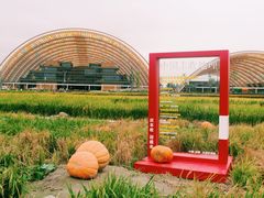 -中国天府农业博览园