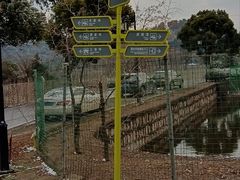-树山生态村