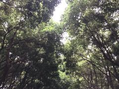 -华西村