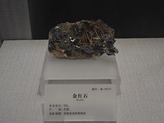 -湖南省地质博物馆