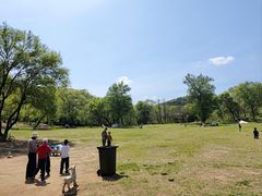 -高尔山公园