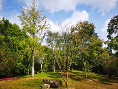 -上海海湾国家森林公园