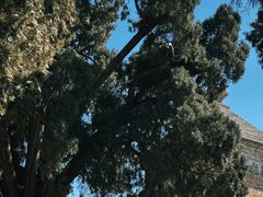 -四门塔风景区