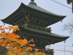 -医王山·飞騨国分寺