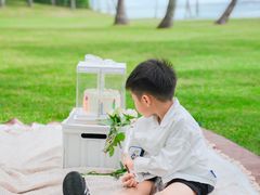 -海南清水湾莱佛士酒店