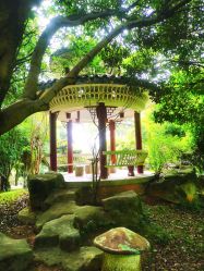 -长沙小顽国景区
