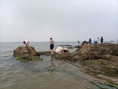 -老虎石海上公园