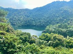 -鼎湖山风景区