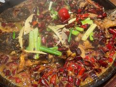 -老板恋上鱼(恒隆广场店)