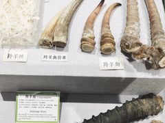 -北京中医药大学-中医药博物馆