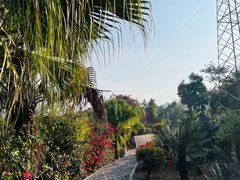 -桤木河湿地公园