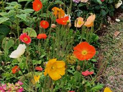 -人民公园(罗湖区)