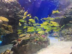 -海合安成都极地海洋公园