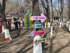 -长白岛森林公园