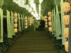-秦岭天竺山生态文化旅游景区