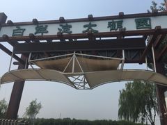 -白洋淀景区