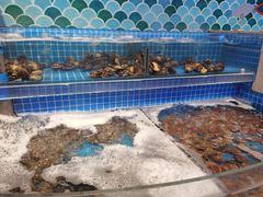 水产区-乔哥铭洋海鲜自助(皇城恒隆广场店)