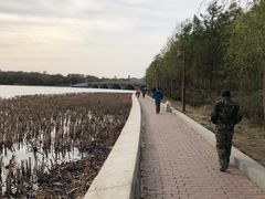 -南湖大桥