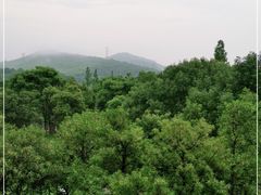 -锦园餐厅(九龙湖开元度假村店)