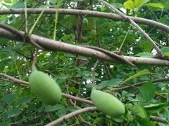 -锦江之星(武汉黄鹤楼复兴路地铁站店)