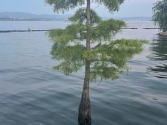 -大理洱海