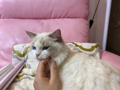 -Beauty Nails 美甲美睫皮肤管理