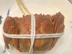 -蟹天蟹地农家菜·阳澄湖大闸蟹(浅水湾店)