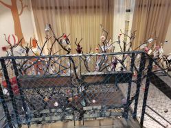 -Cocodemer 产后恢复中心(多伦路店)