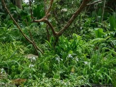 -成都市活水公园