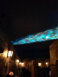 -翱翔飞越地平线