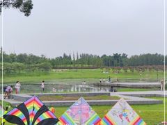 -两河城市森林公园