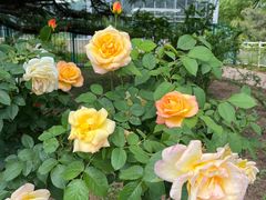 -国家植物园南园