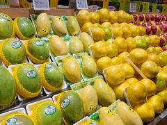-T11生鲜超市(朝阳公园店)