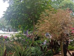 -华南国家植物园-售票处