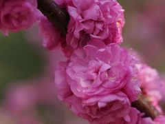 -石榴庄公园