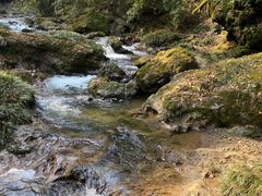 -龙苍沟森林公园