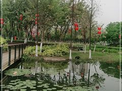 -映月湖公园