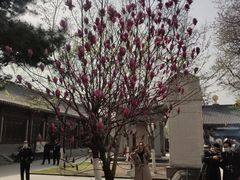 -护国法轮寺