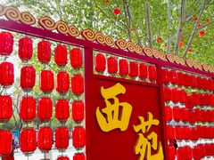 -西苑公园